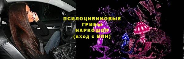 герыч Ельня