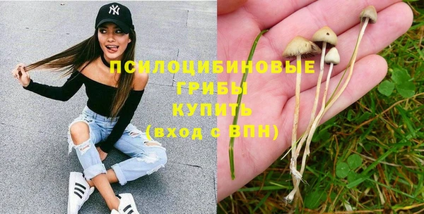 PSILOCYBIN Уссурийск