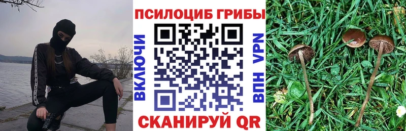 Купить закладки  Нововоронеж  Галлюциногенные грибы Psilocybine cubensis 